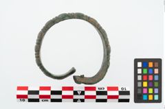 Foto von Bronzemelonenarmreif (NHMW-PRAE-025365)